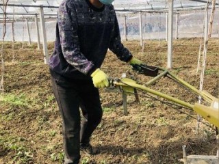 即墨天气官方下载，精准掌握城市气象，开启智慧生活新体验