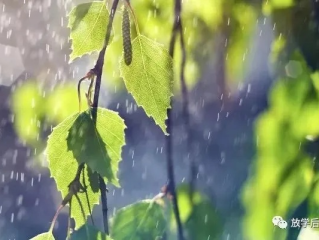 雨声入梦来