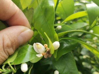 桂林天气20天准确（桂林天气24号到30号）