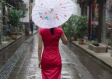 彩票365-苏州未来15天穿衣指南，从雨巷到艳阳，一衣穿遍江南春
