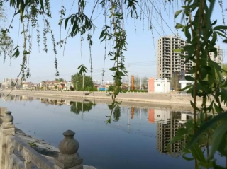 河南滑县天气预报（河南滑县天气预报一个月）