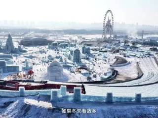 哈尔滨的冬天，一场与冰雪的深情对话