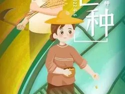 最精准的天气预报，藏在五千年的农耕智慧里