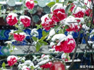 下周天气，冷暖交替，雨雪试探春意