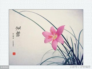 掌握天气，从容出行，天气预报下载指南
