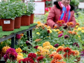 鄢陵天气预报，守护花乡的四季晴雨