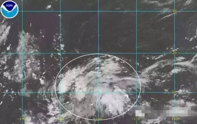 风雨中的导航仪，揭秘台风路径实时发布官网如何守护万家灯火