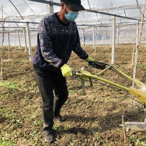 即墨天气官方下载,精准掌握城市气象,开启智慧生活新体验 即墨天气官方下载,精准掌握城市气象,开启智慧生活新体验