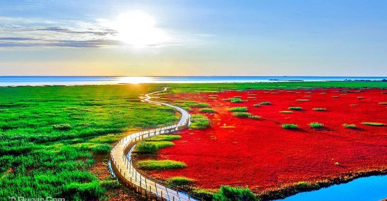 盘锦天气,湿地之都的四季变奏曲 盘锦天气,湿地之都的四季变奏曲