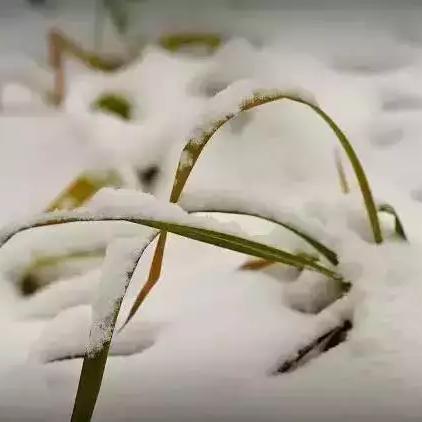 山西大雪最新通知，今日天气预警升级，多地需防范暴雪冰冻灾害