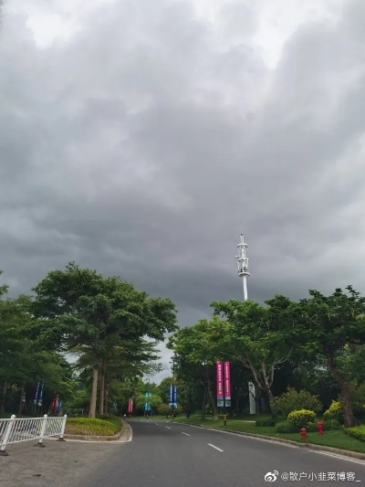 儋州天气,热而不燥,雨亦有情 儋州天气,热而不燥,雨亦有情