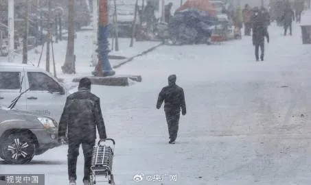 黑龙江将迎来罕见暴雪天气，雪域冰城再临严峻考验