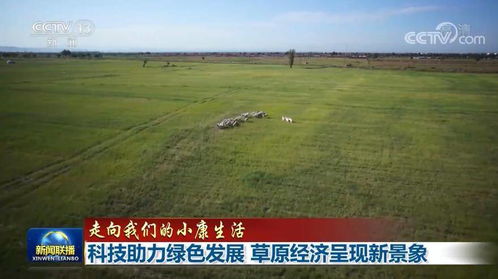乌兰浩特天气预报,草原之城的四季呼吸,你准备好了吗? 乌兰浩特天气预报,草原之城的四季呼吸,你准备好了吗?