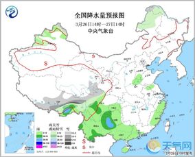 最新台风实时路径图，守护生命的第一道防线