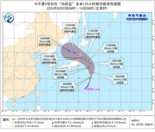 台风实时路径，科技如何为我们争取更多安全时间