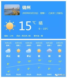 一周天气早知道，高效查询指南与实用技巧