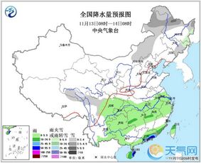 风雨中的守望，台风路径实时更新如何守护万家安宁