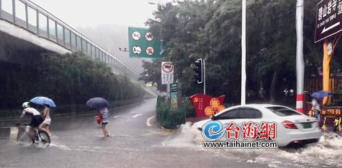 厦门今日遭遇暴雨袭击，全城应对最新情况速览