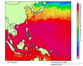 2024年26号台风帕布最新动态，路径、强度与防范指南