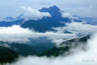 湘西天气十五日，于云雾间读懂山水的呼吸