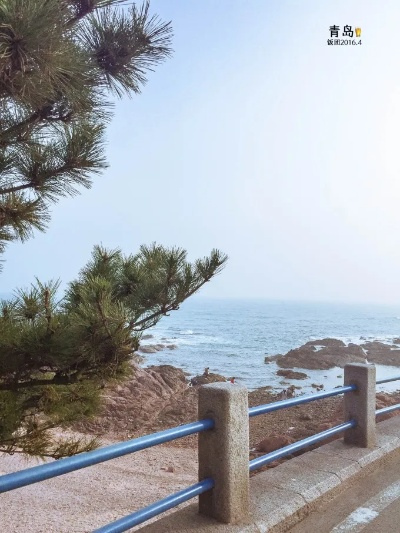 青岛的天气,海风里的四季诗篇 青岛的天气,海风里的四季诗篇