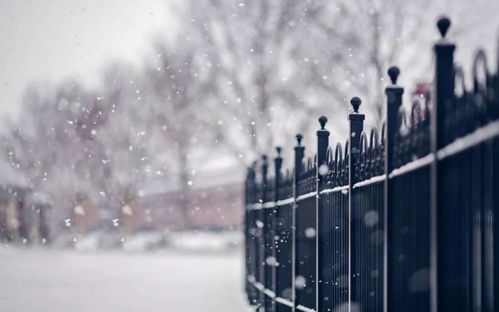 云南冬天温度一般多少?一篇帮你解开春城冬季谜团的指南 云南冬天温度一般多少?一篇帮你解开春城冬季谜团的指南