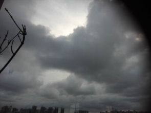 关上窗，屋里空调嗡嗡地响着。外面的天又变了，云层厚了起来，大概又要下雨了。我坐在桌前，听着风声，心里却觉得踏实。这深圳的天气啊，就像这城市一样，永远在变，永远让你猜不透。可正是这样，才让人舍不得离开