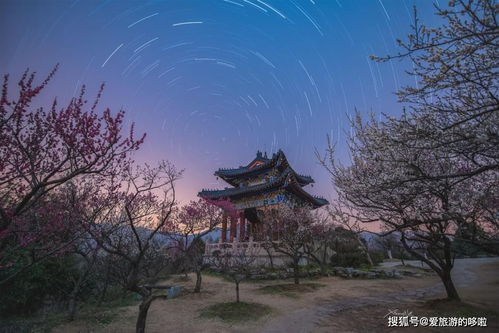 湖州明天天气，晴暖依旧，适宜出行