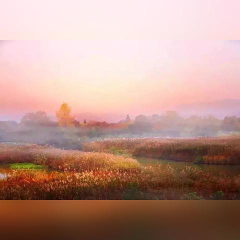 杭州天气，十天后的秋意与二十五天后的深秋猜想